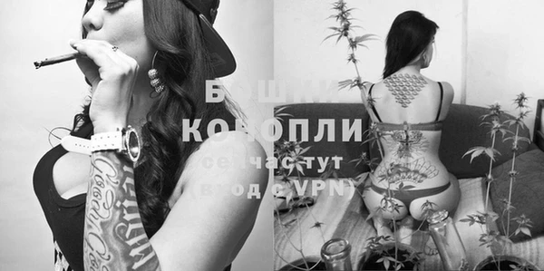 гашик Тихорецк