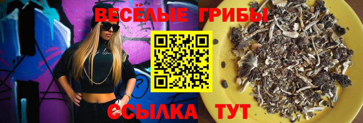 Мариинск  Галлюциногенные грибы Cubensis  Галлюциногенные грибы Psilocybine cubensis  Вход с VPN 