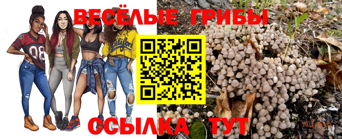 Галлюциногенные грибы прущие грибы Мариинск
